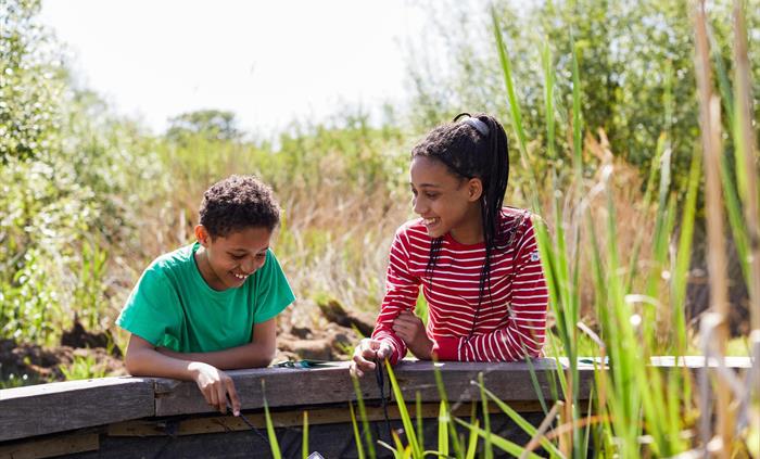A boy and girl hold nets and look into the ponds to see what creatures they can find.